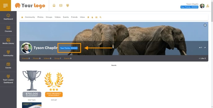 Points on User Profile