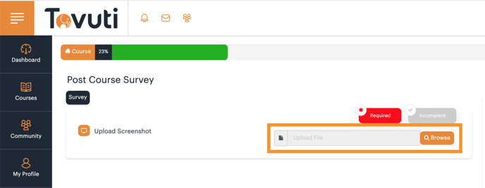 Screen Shot 2020-08-06 at 11.09.48 AM-1